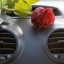 Как удалить неприятный запах в автомобиле